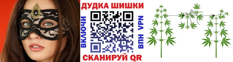 Купить закладки  Светлоград  Каннабис семена 